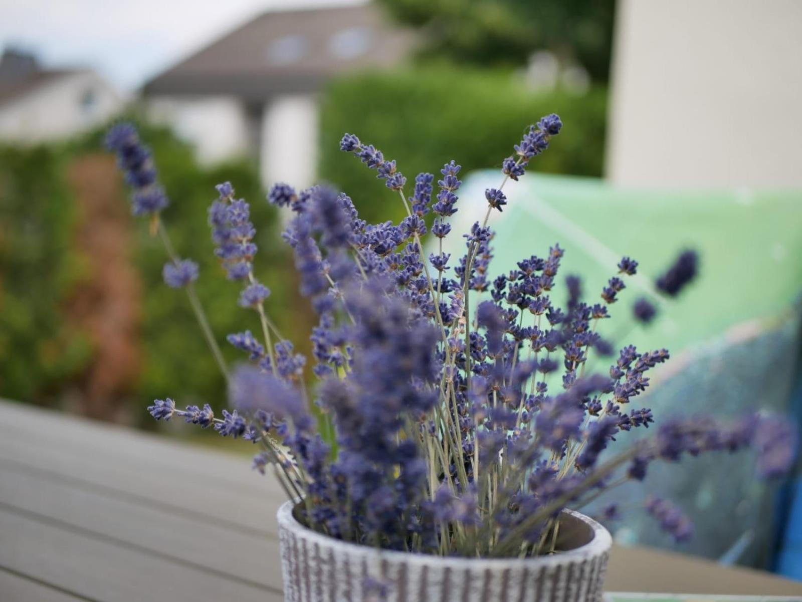 Ferienwohnung Sonnenblick Und Relax ซุนเดิร์น ภายนอก รูปภาพ