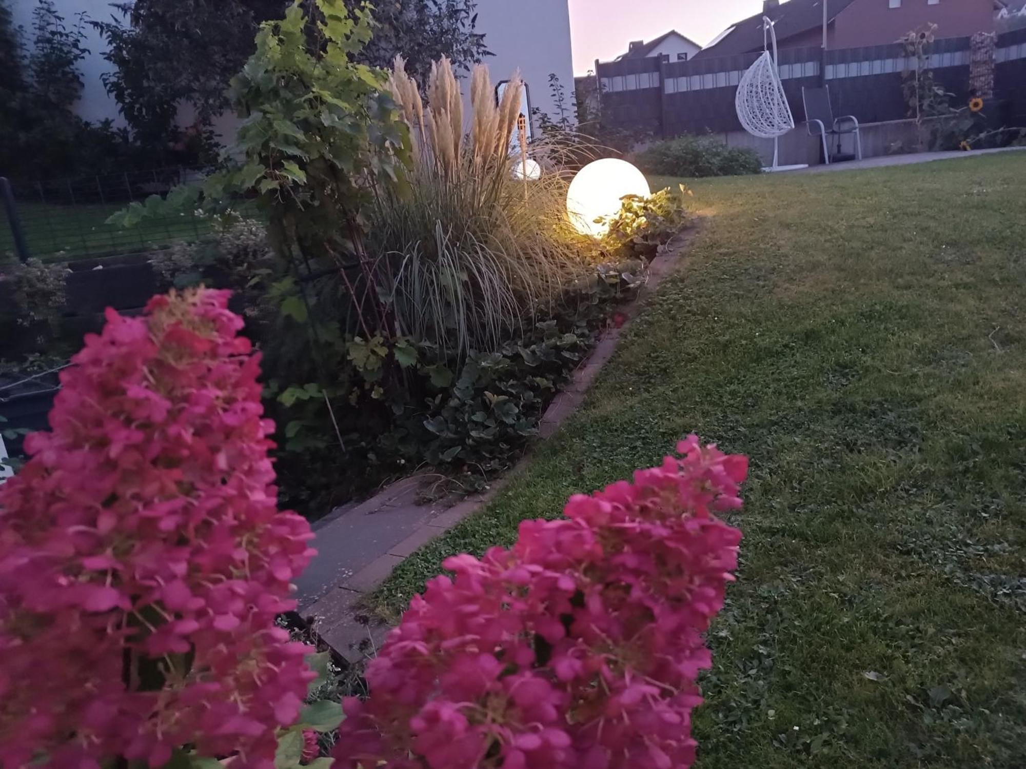 Ferienwohnung Sonnenblick Und Relax ซุนเดิร์น ภายนอก รูปภาพ